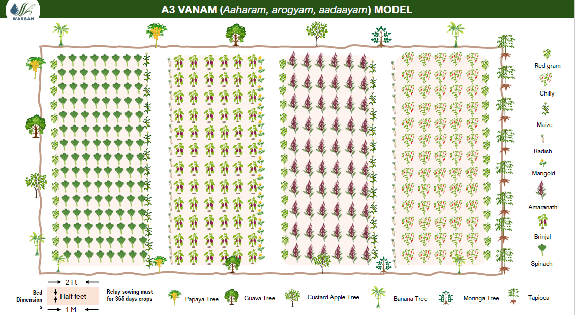 A3 Vanam